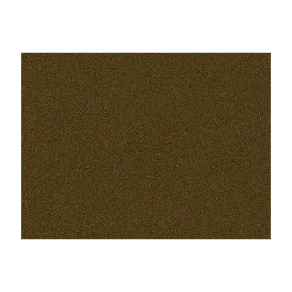 abilene210-abilene-bark-kravet-contract