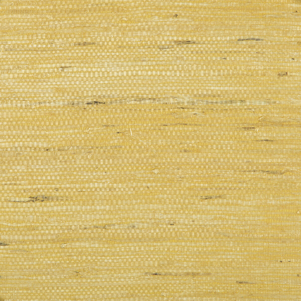 p801514640-kochi-gold-brunschwig-fils