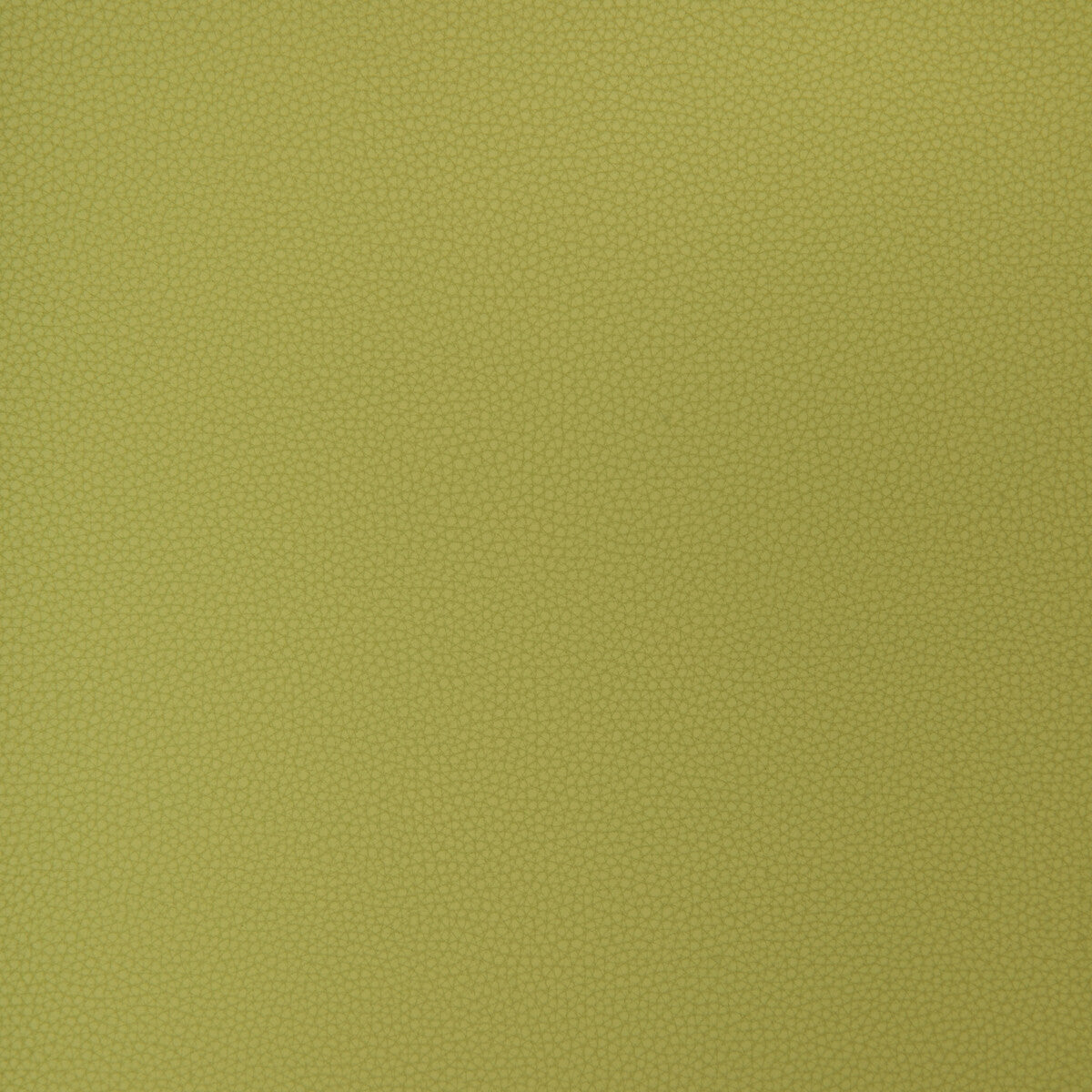 bind230-kravet-design-bind-23-kravet-design