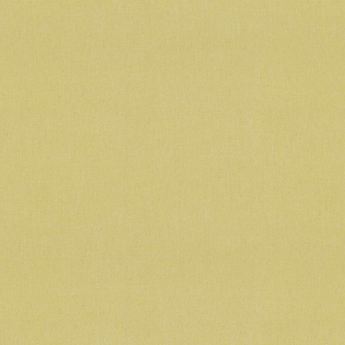 am10043230-walton-lemon-kravet-couture