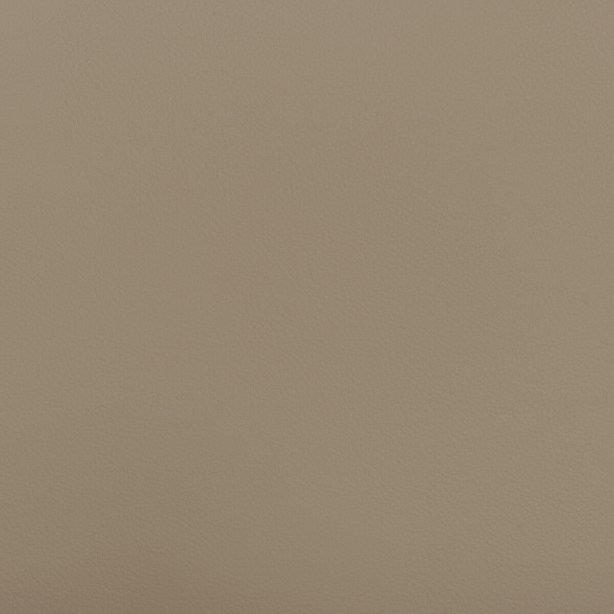 beech1210-kravet-design-beech-121-kravet-design