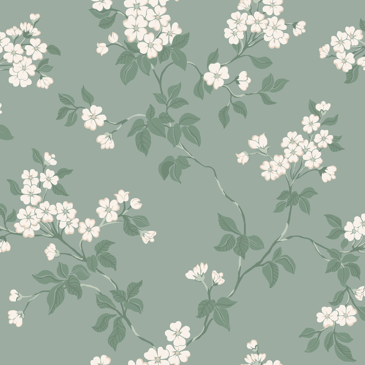 wdr1025wt0-blomma-robins-egg-winfield-thybony - WINFIELD THYBONY Wallpaper