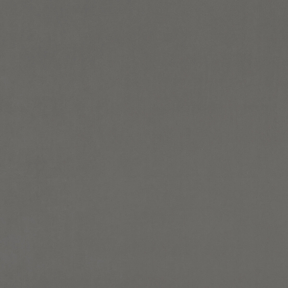 f075323cac0-alvar-ash-clarke-and-clarke - CLARKE AND CLARKE Fabric