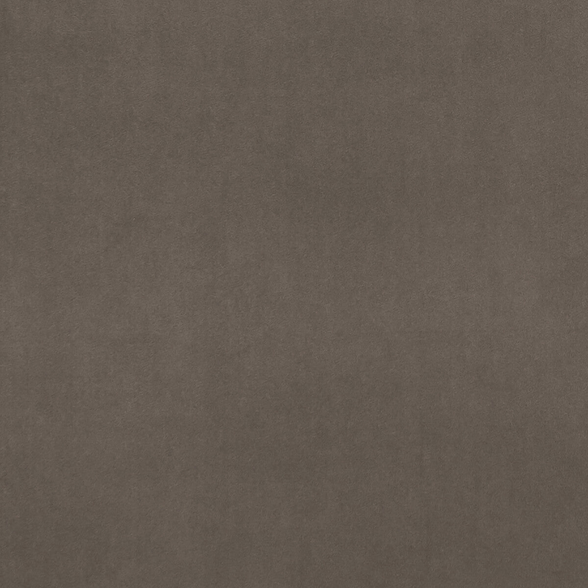 f075307cac0-alvar-mocha-clarke-and-clarke - CLARKE AND CLARKE Fabric