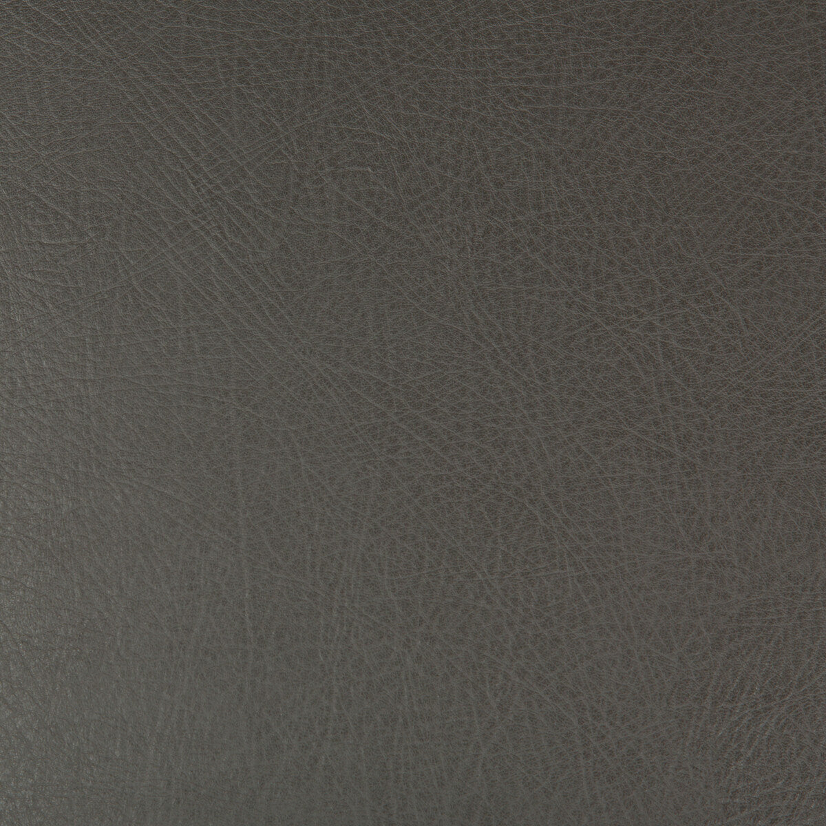 deimos210-kravet-design-deimos-21-kravet-design - KRAVET DESIGN Fabric