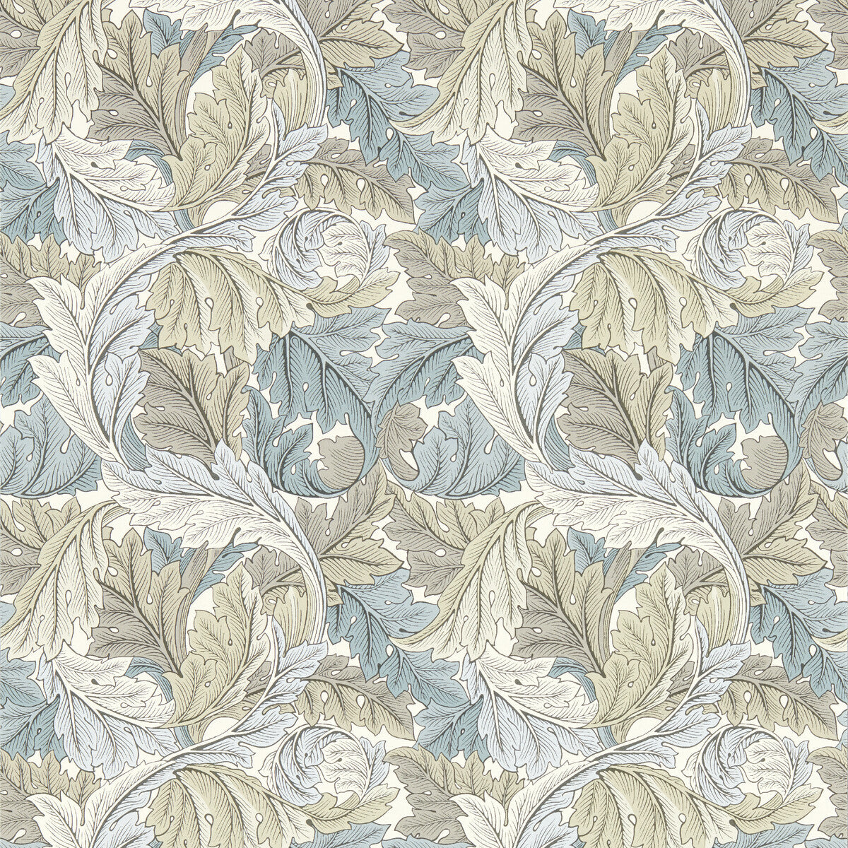 w017503cac0-acanthus-dove-wp-clarke-and-clarke