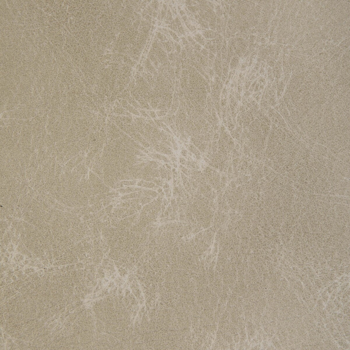 l-ovinebone0-kravet-design-l-ovine-bone-kravet-design
