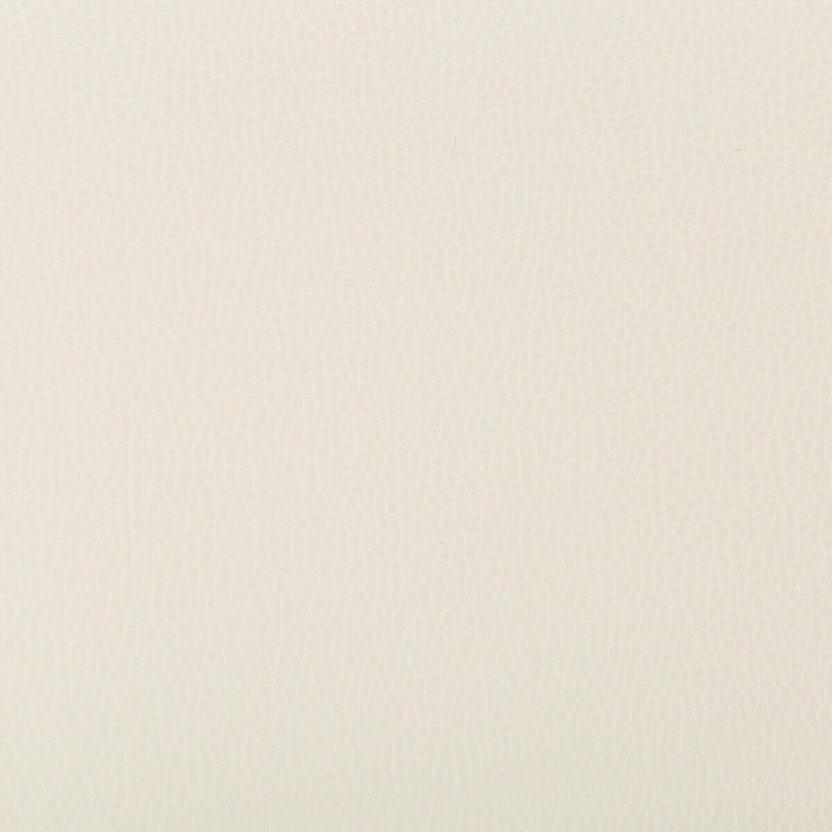 lenox10-lenox-blizzard-kravet-contract