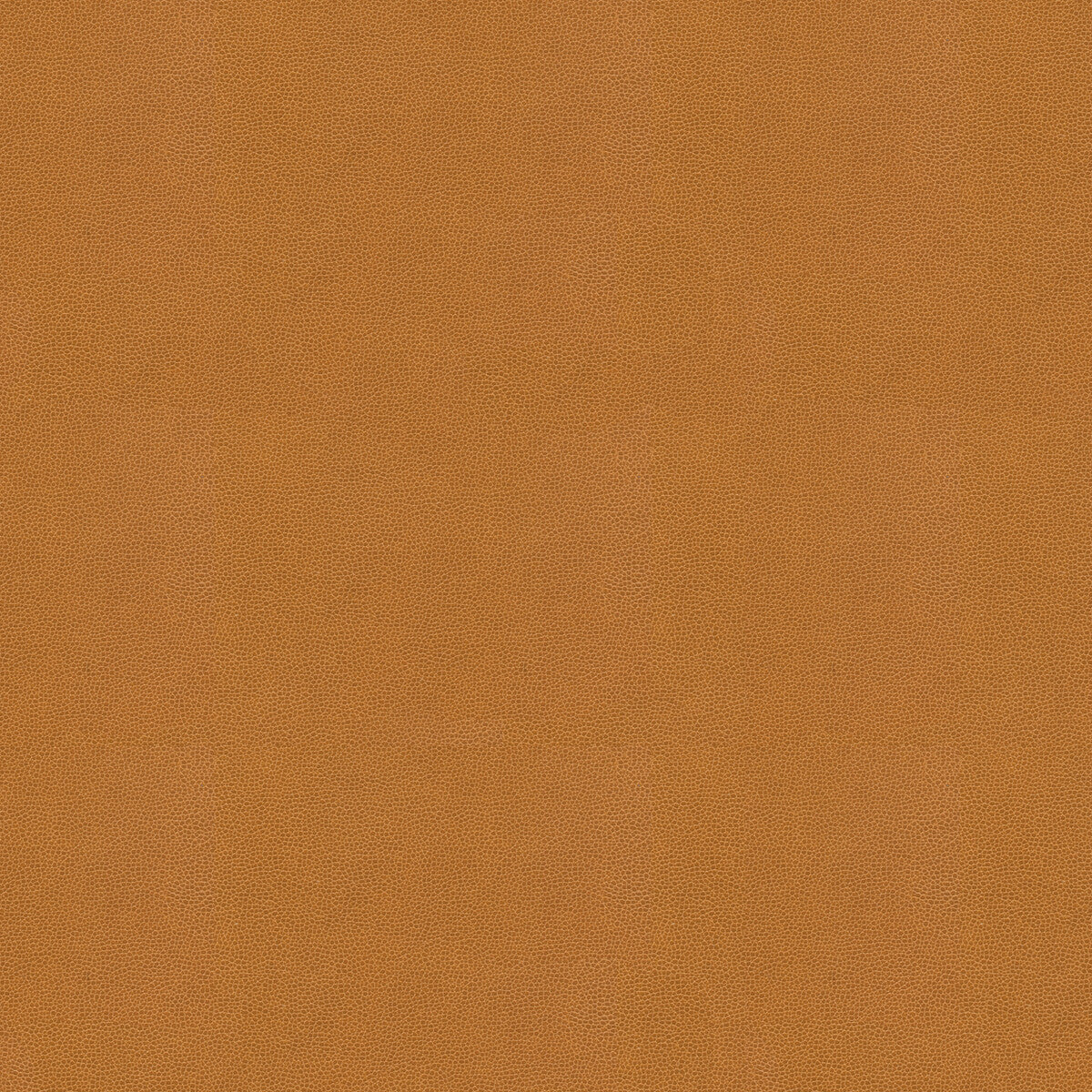 impact160-impact-caramel-kravet-couture