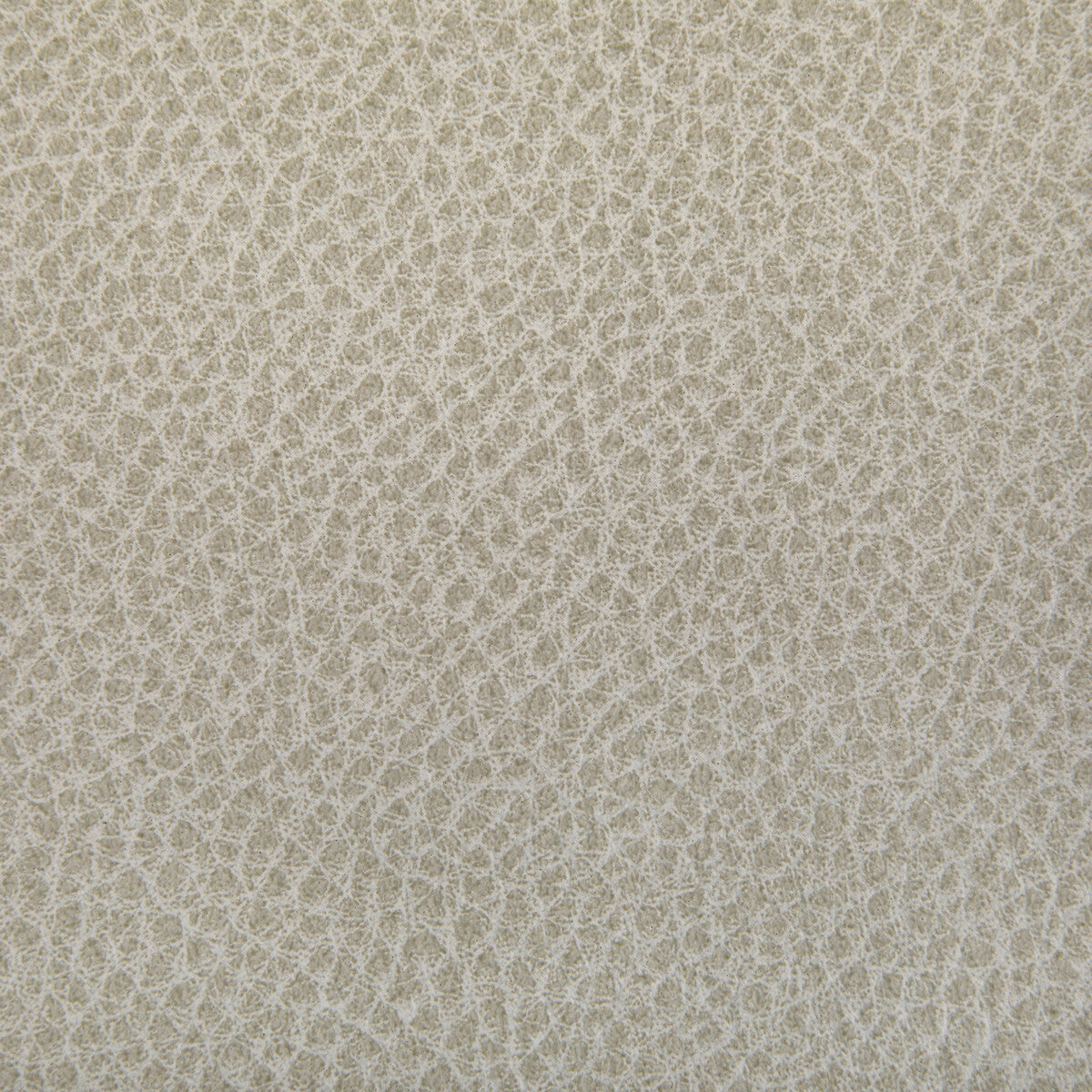 woolf10-woolf-limestone-kravet-contract - KRAVET CONTRACT Fabric