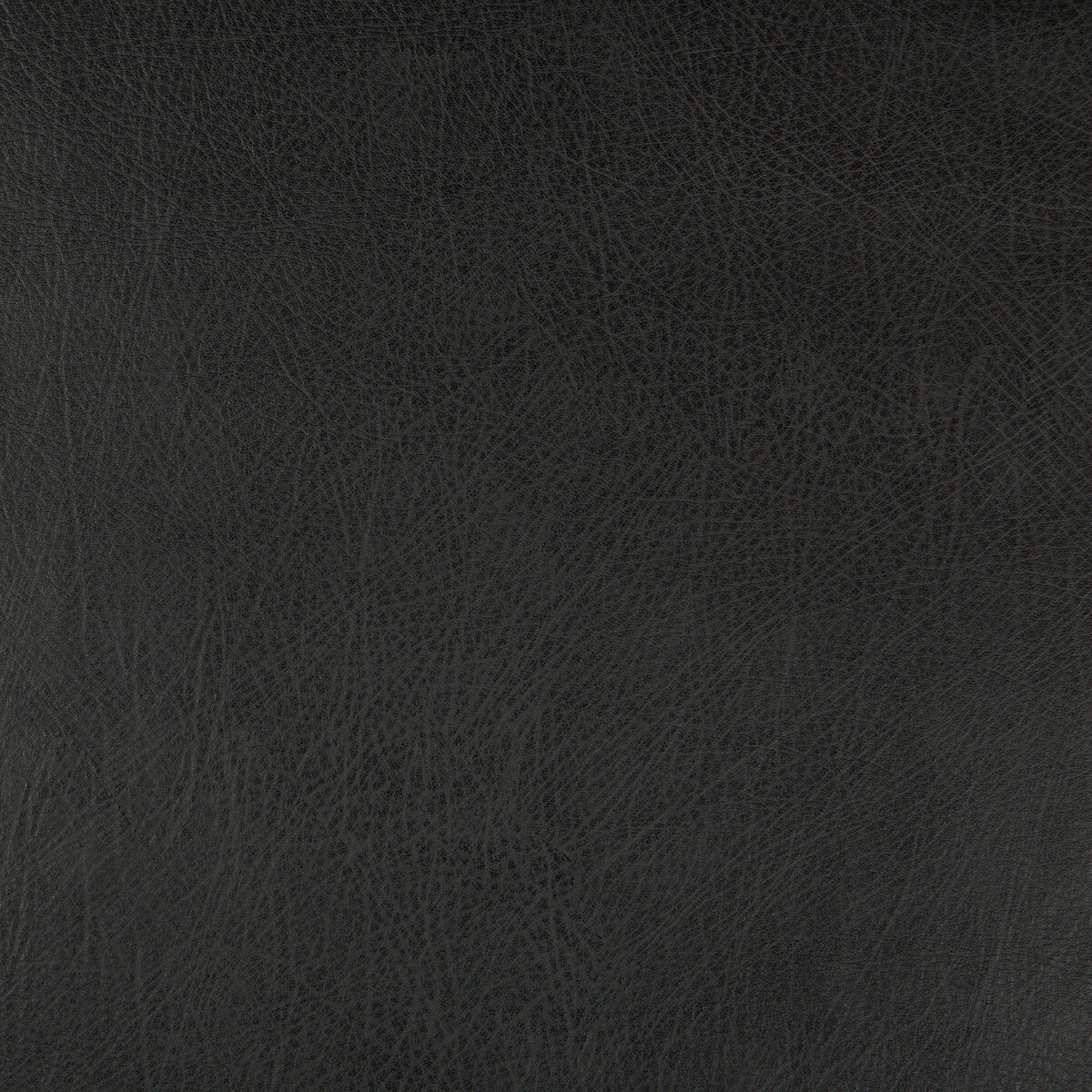 deimos80-kravet-design-deimos-8-kravet-design - KRAVET DESIGN Fabric