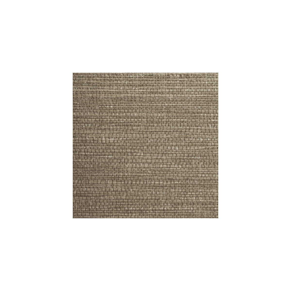 whf3040wt0-drake-bronze-winfield-thybony - WINFIELD THYBONY Wallpaper