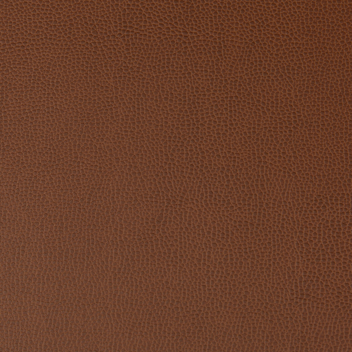 lenox60-lenox-rootbeer-kravet-contract