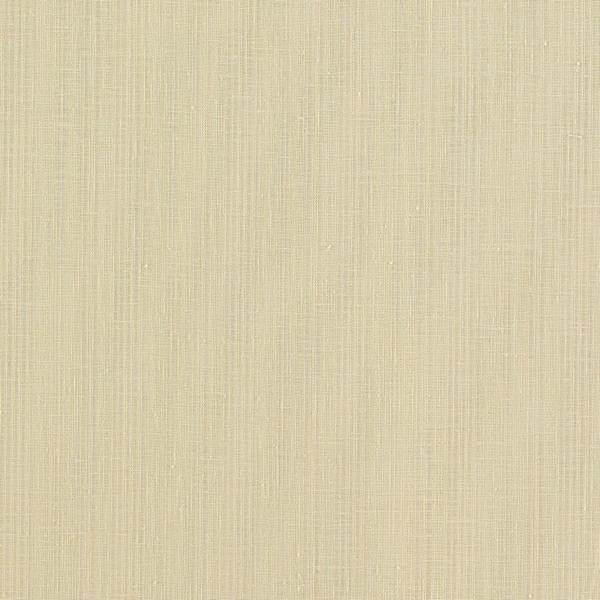 f166510cac0-remo-raffia-clarke-and-clarke