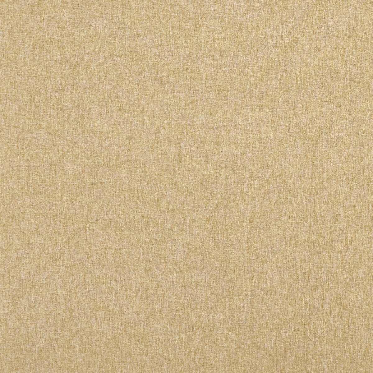 f084849cac0-highlander-harvest-clarke-and-clarke - CLARKE AND CLARKE Fabric