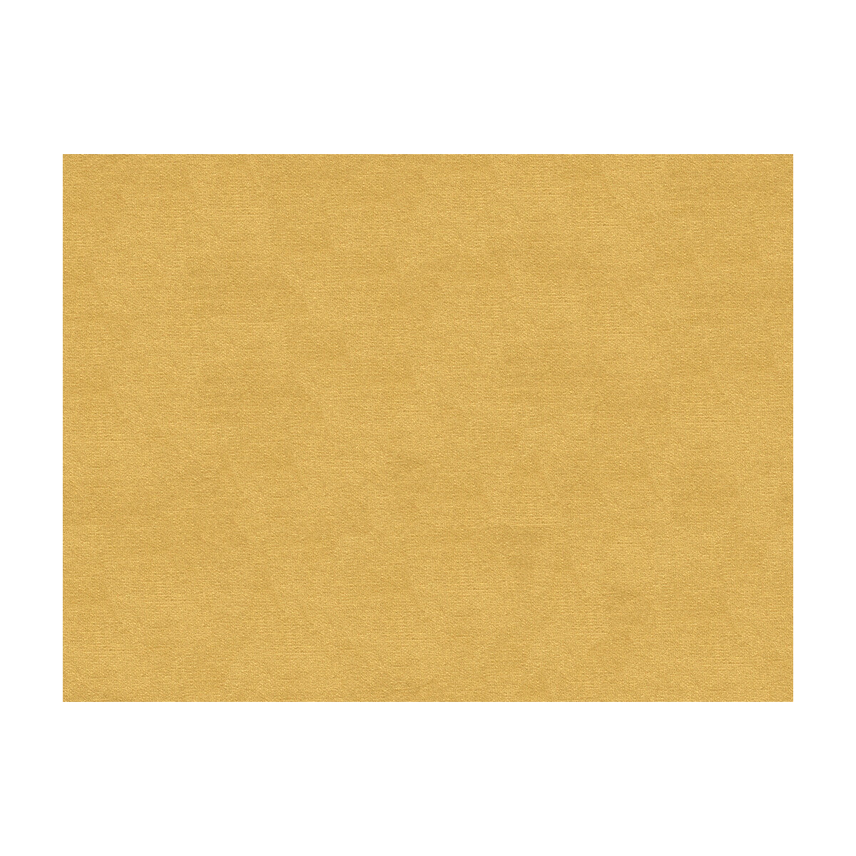 br-897793100-lubeck-cotton-velvet-straw-brunschwig-fils - BRUNSCHWIG & FILS Fabric