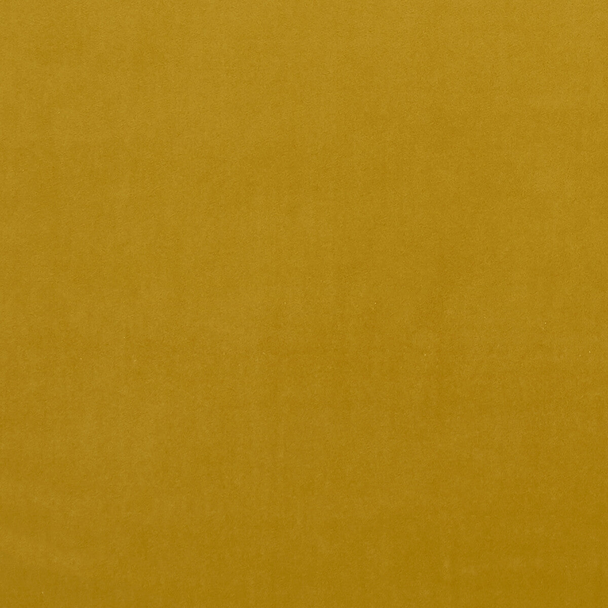 f075372cac0-alvar-honey-clarke-and-clarke - CLARKE AND CLARKE Fabric