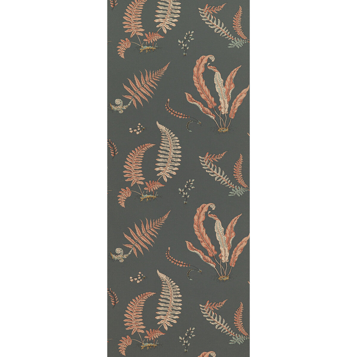 bw45044130-ferns-coralcharcoal-g-p-j-baker - G P & J BAKER Wallpaper