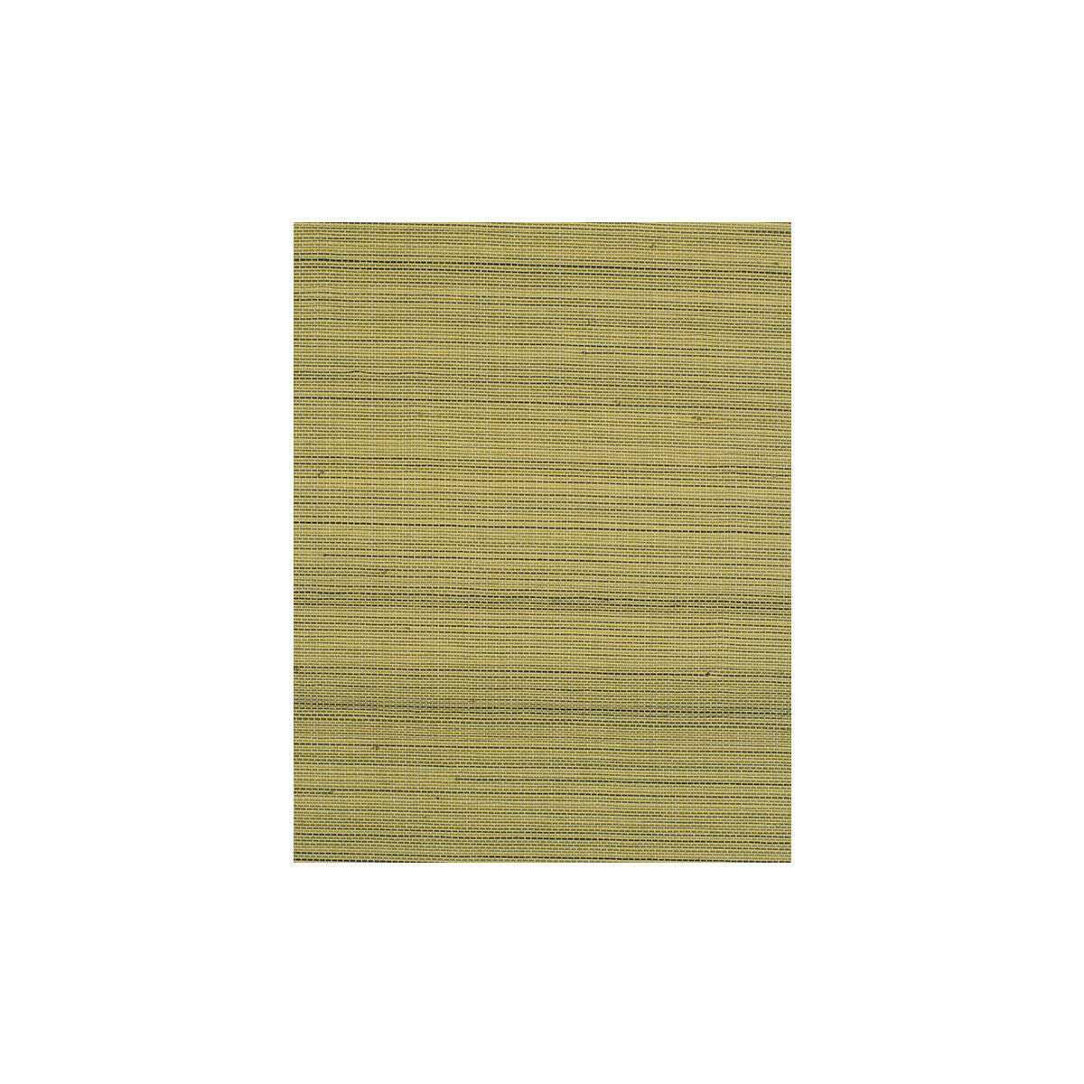 wiw2541wt0-negril-peridot-winfield-thybony - WINFIELD THYBONY Wallpaper