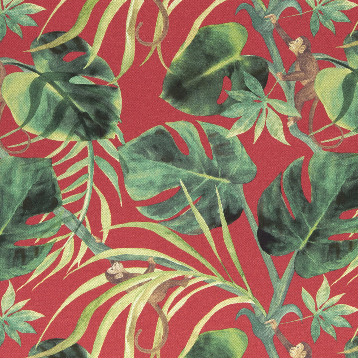 f099804cac0-monkey-business-rouge-clarke-and-clarke - CLARKE AND CLARKE Fabric