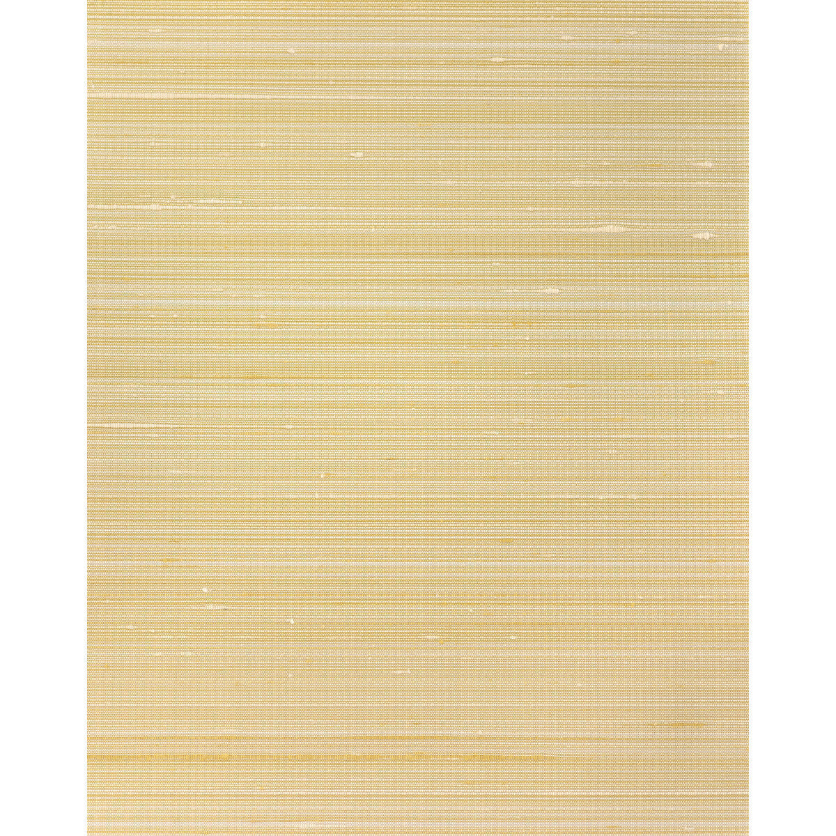 wns5526wt0-grayson-gold-winfield-thybony - WINFIELD THYBONY Wallpaper