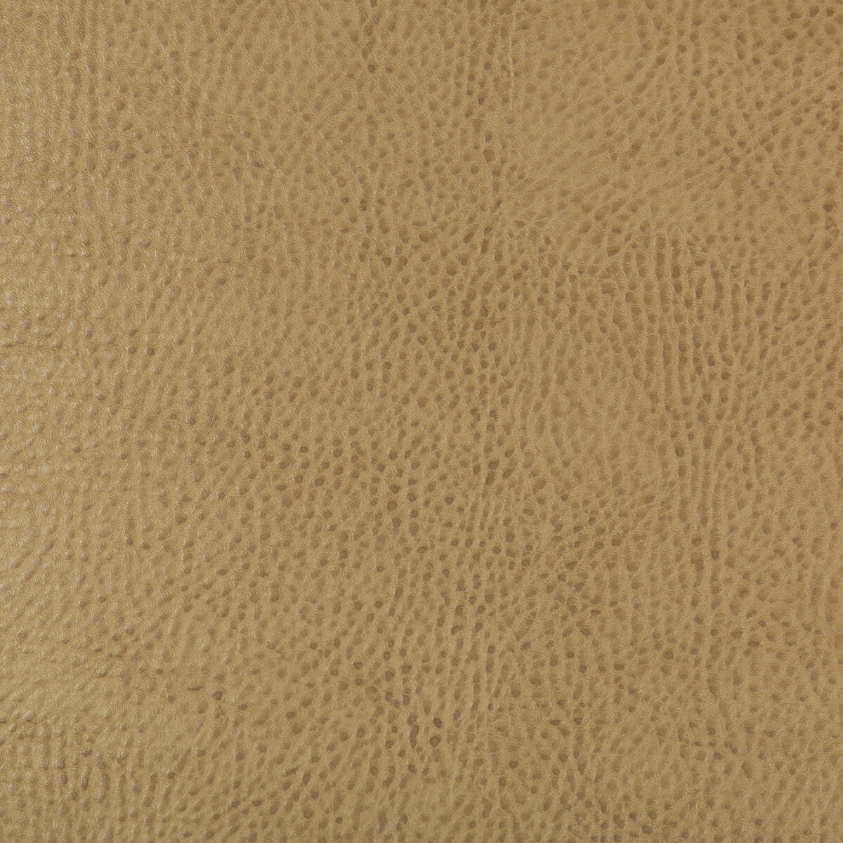 beholder160-kravet-design-beholder-16-kravet-design