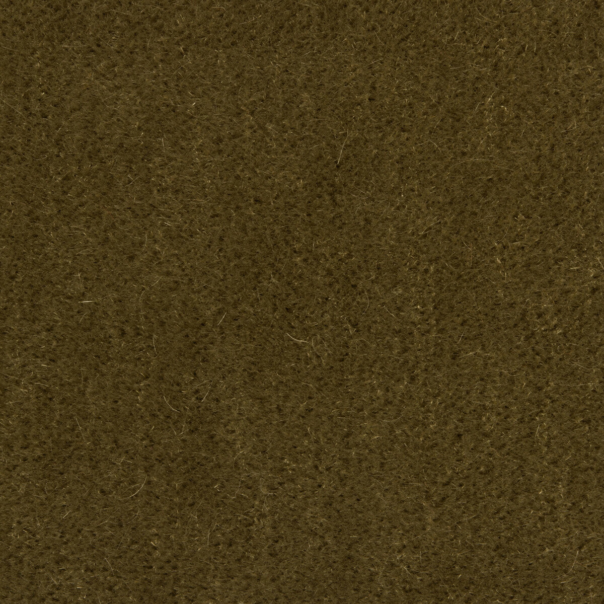 80141011130-bachelor-mohair-khaki-brunschwig-fils - BRUNSCHWIG & FILS Fabric