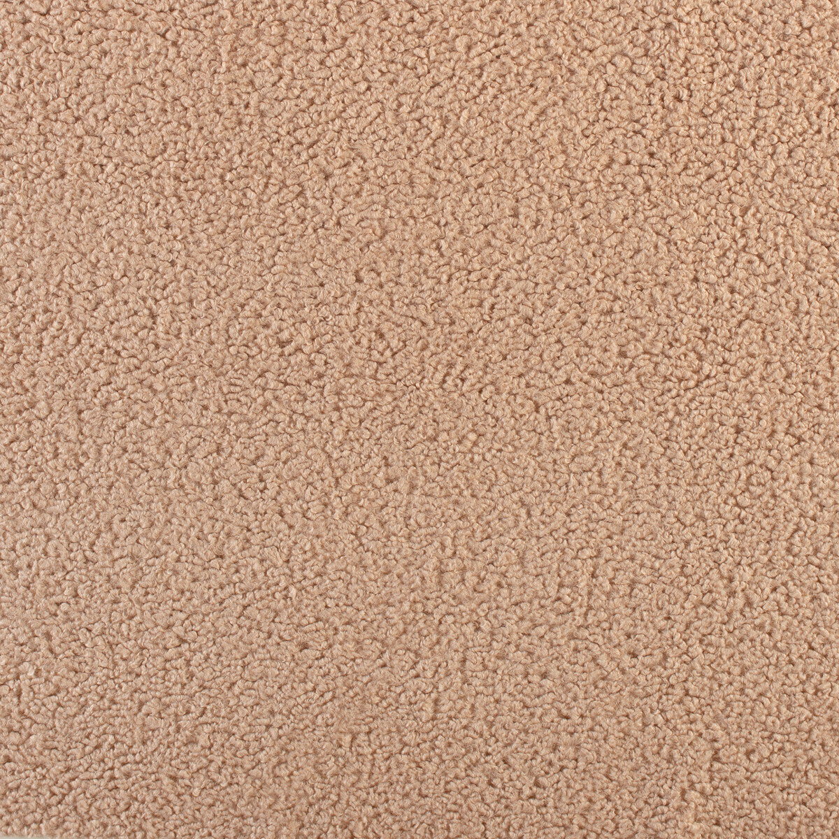 35310120-curly-pink-sand-kravet-basics - KRAVET BASICS Fabric