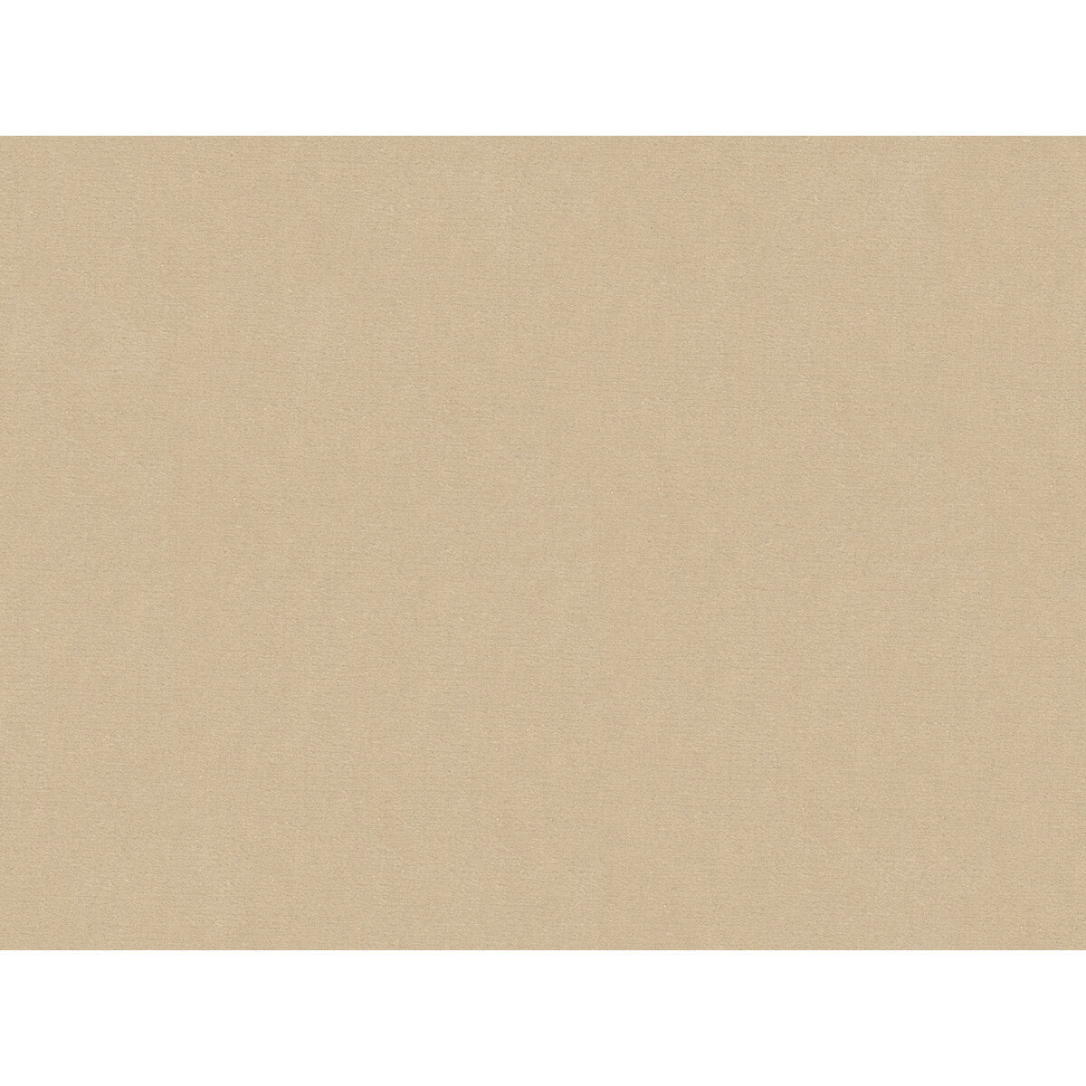 34328160-statuesque-sand-kravet-couture