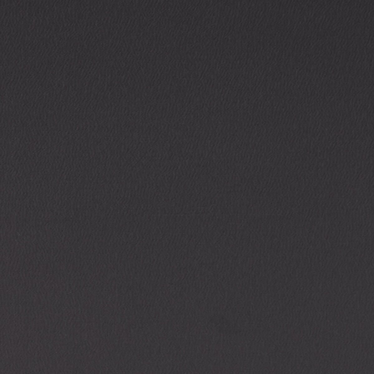 f106213cac0-spectrum-ebony-clarke-and-clarke - CLARKE AND CLARKE Fabric