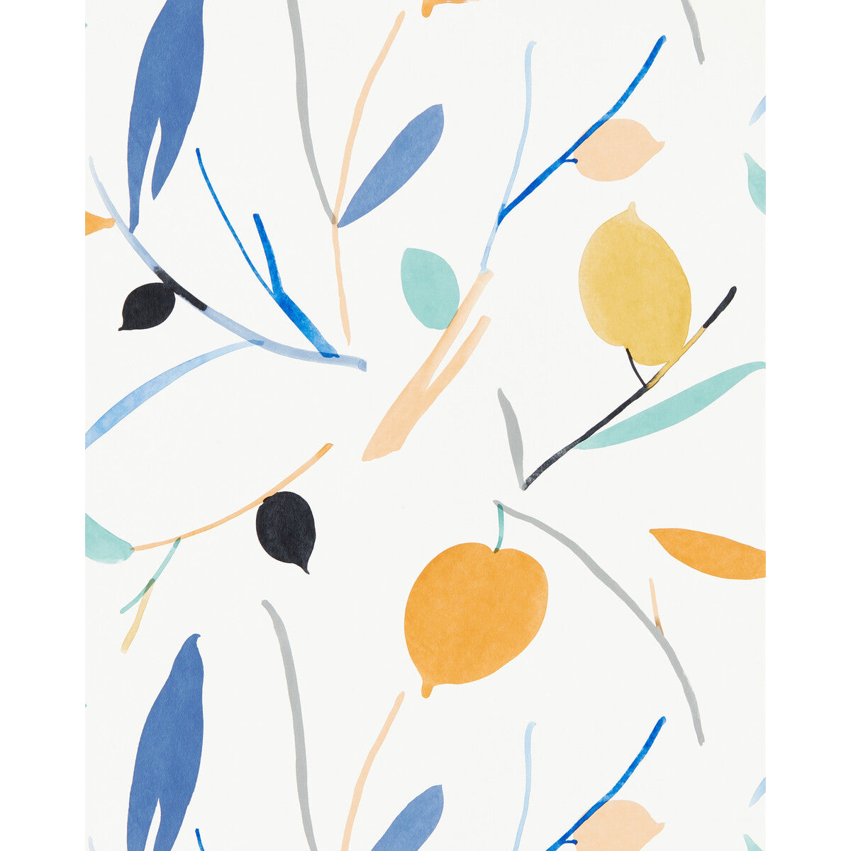 nzaw111995scn0-oxalis-wp-papayahoney-scion