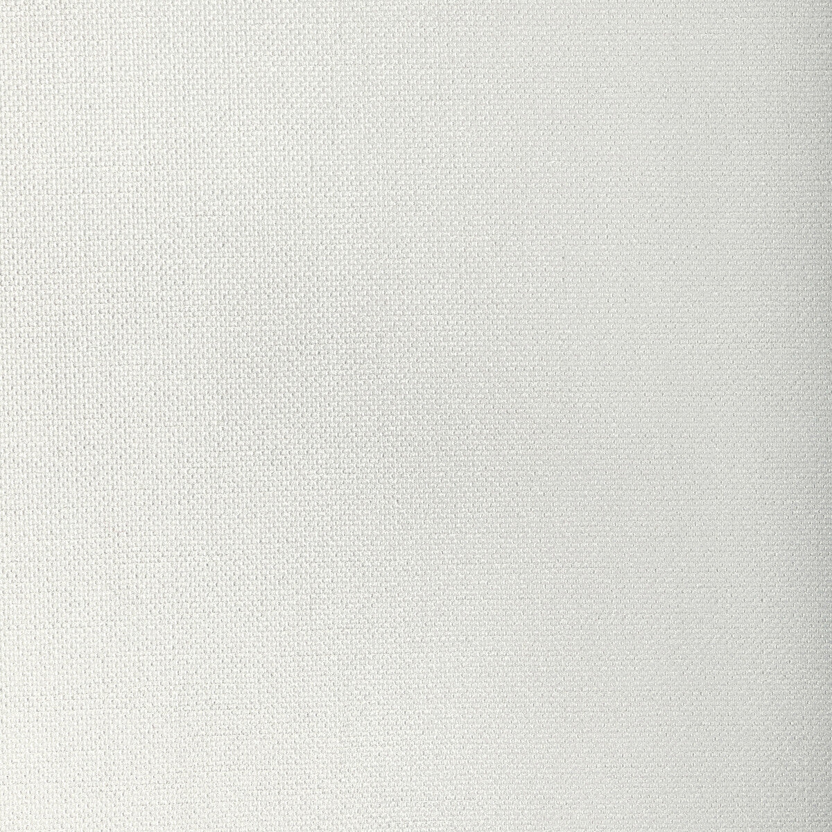 331201110-kravet-basics-33120-111 - KRAVET BASICS Fabric