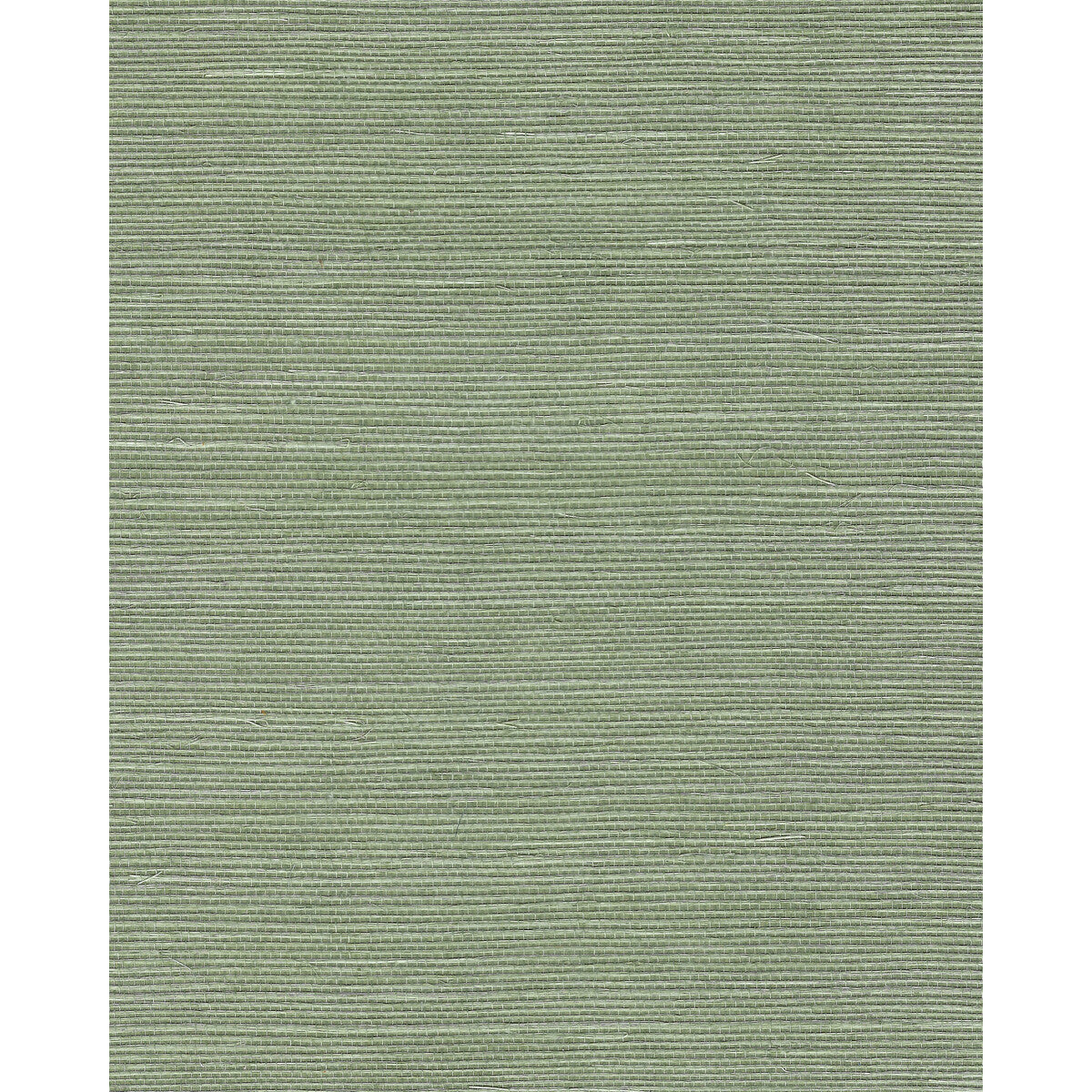 wnr2110wt0-chiyo-sisal-sage-winfield-thybony - WINFIELD THYBONY Wallpaper