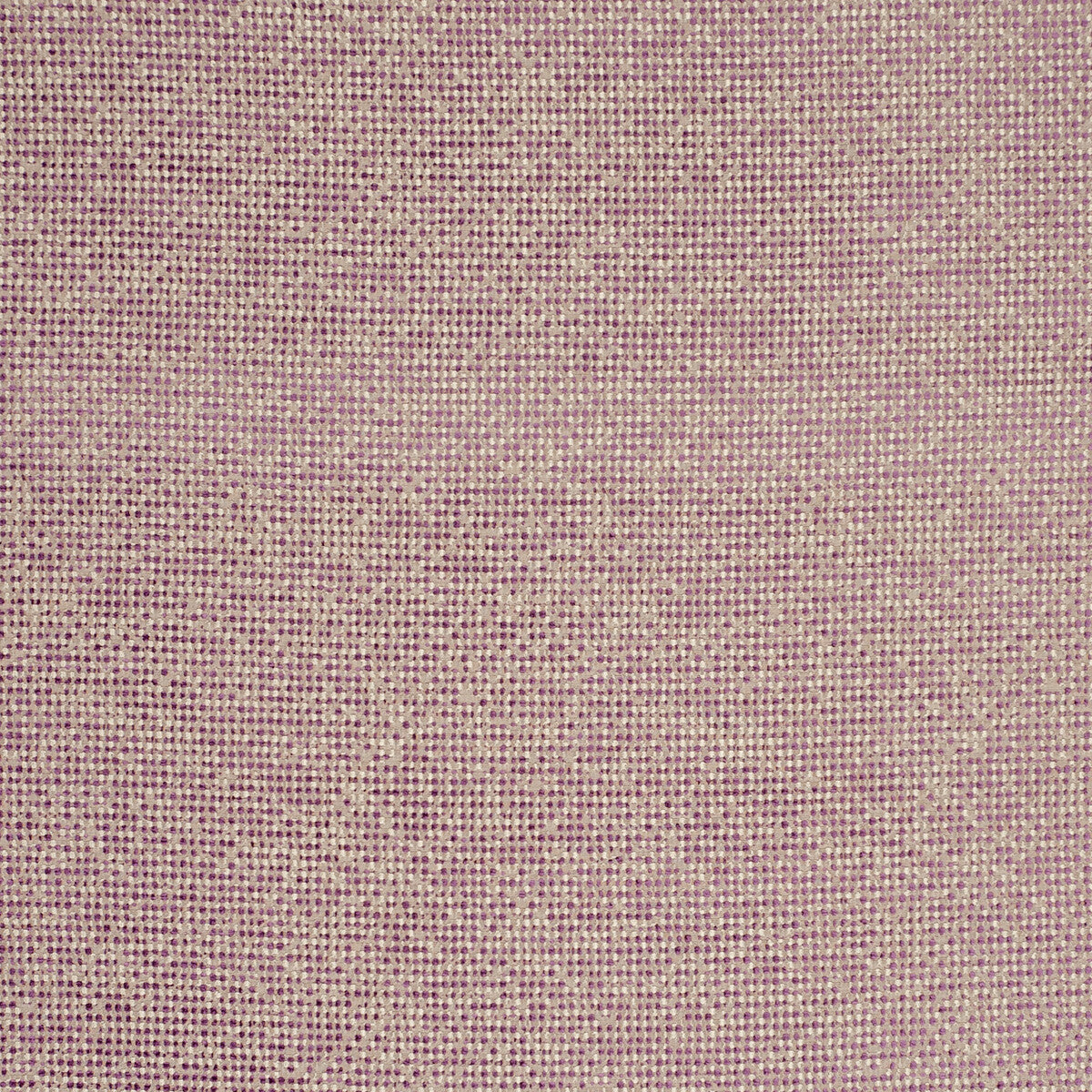 f080405cac0-beauvoir-orchid-clarke-and-clarke - CLARKE AND CLARKE Fabric