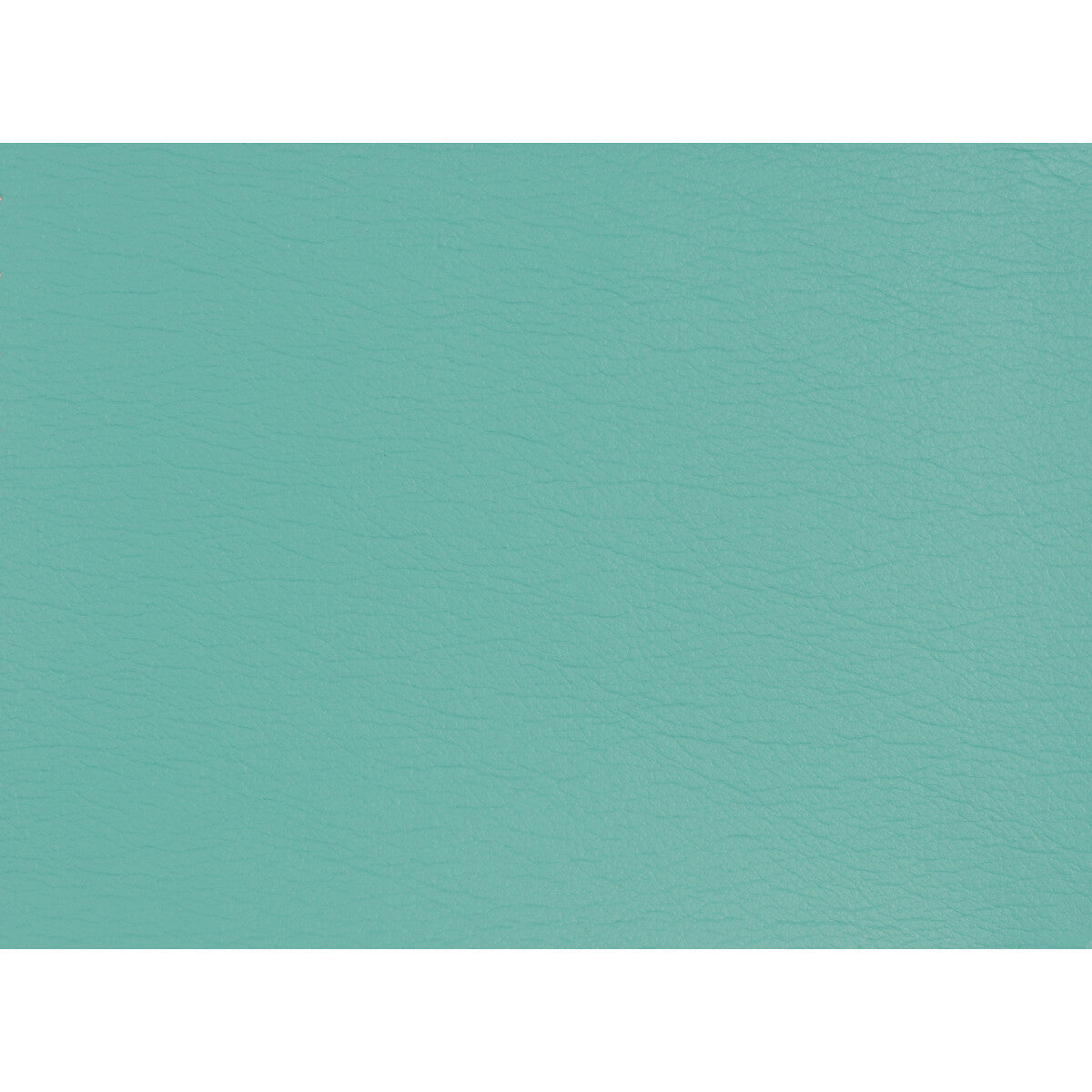 gato130-kravet-design-gato-13-kravet-design