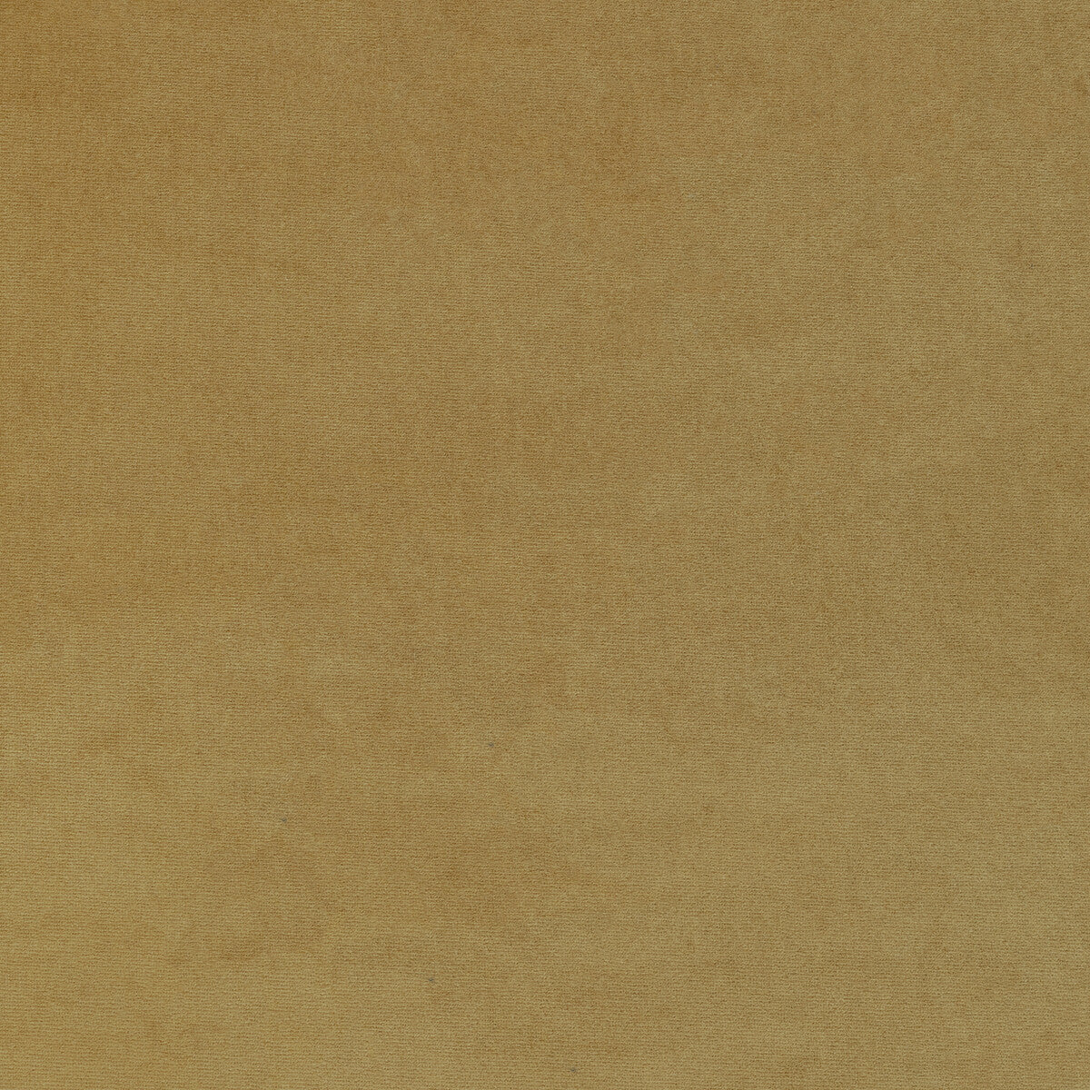 361114160-kravet-smart-36111-416-kravet-smart