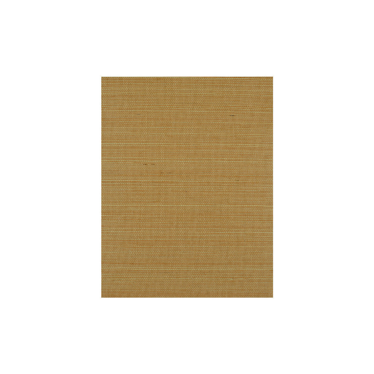 wiw2530wt0-bermuda-blush-winfield-thybony - WINFIELD THYBONY Wallpaper