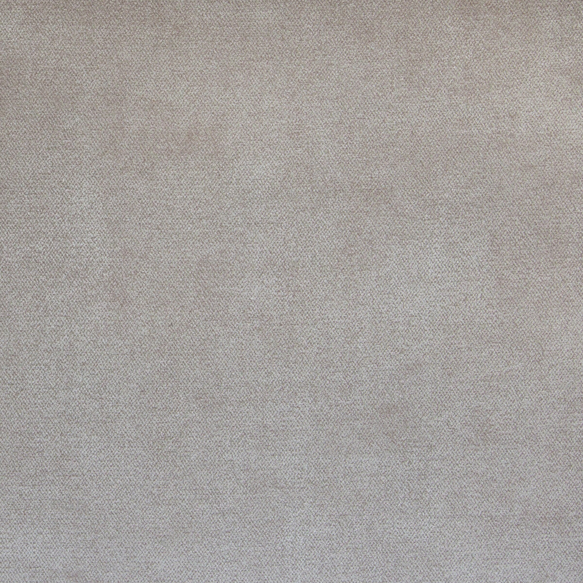 35854170-simbel-cameo-kravet-couture