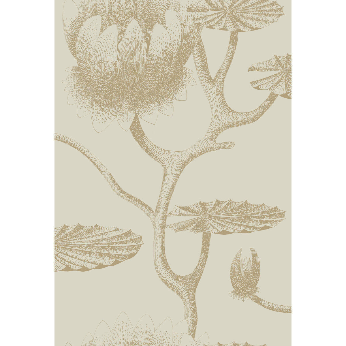954019cs0-lily-linengold-cole-son - COLE & SON Wallpaper