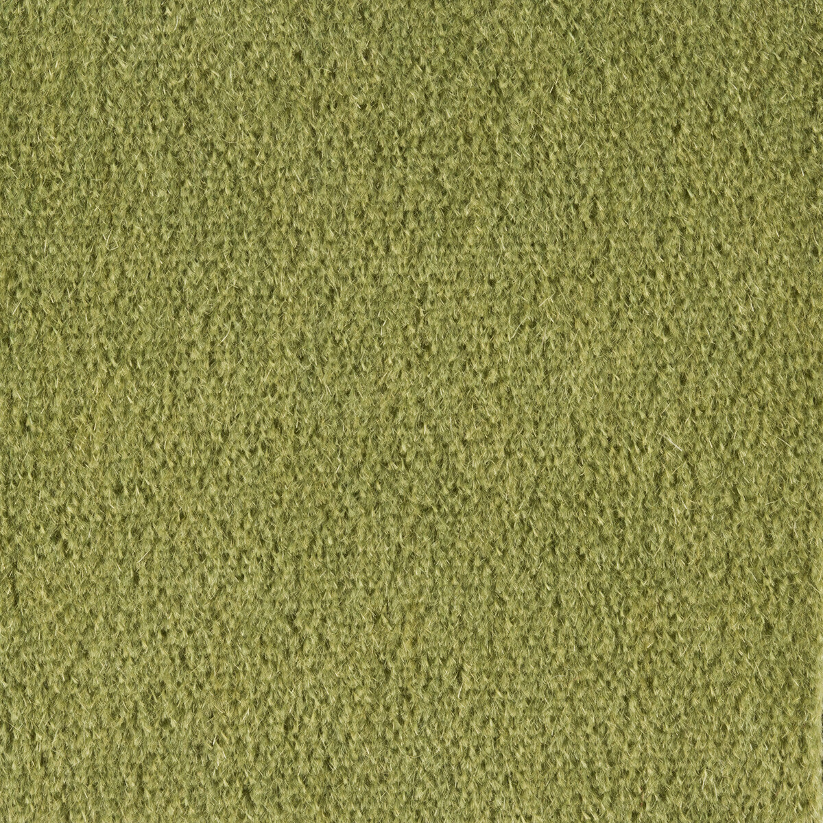 br-897784320-autun-mohair-velvet-leaf-brunschwig-fils - BRUNSCHWIG & FILS Fabric
