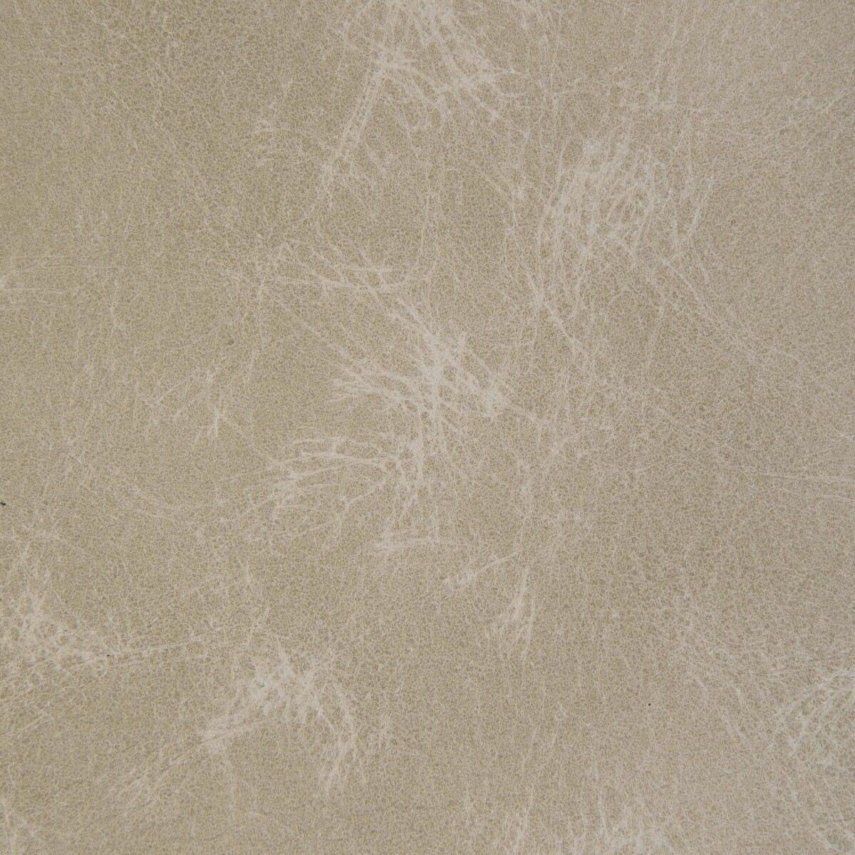 l-ovinebone0-l-ovine-bone-kravet-design - KRAVET DESIGN Fabric