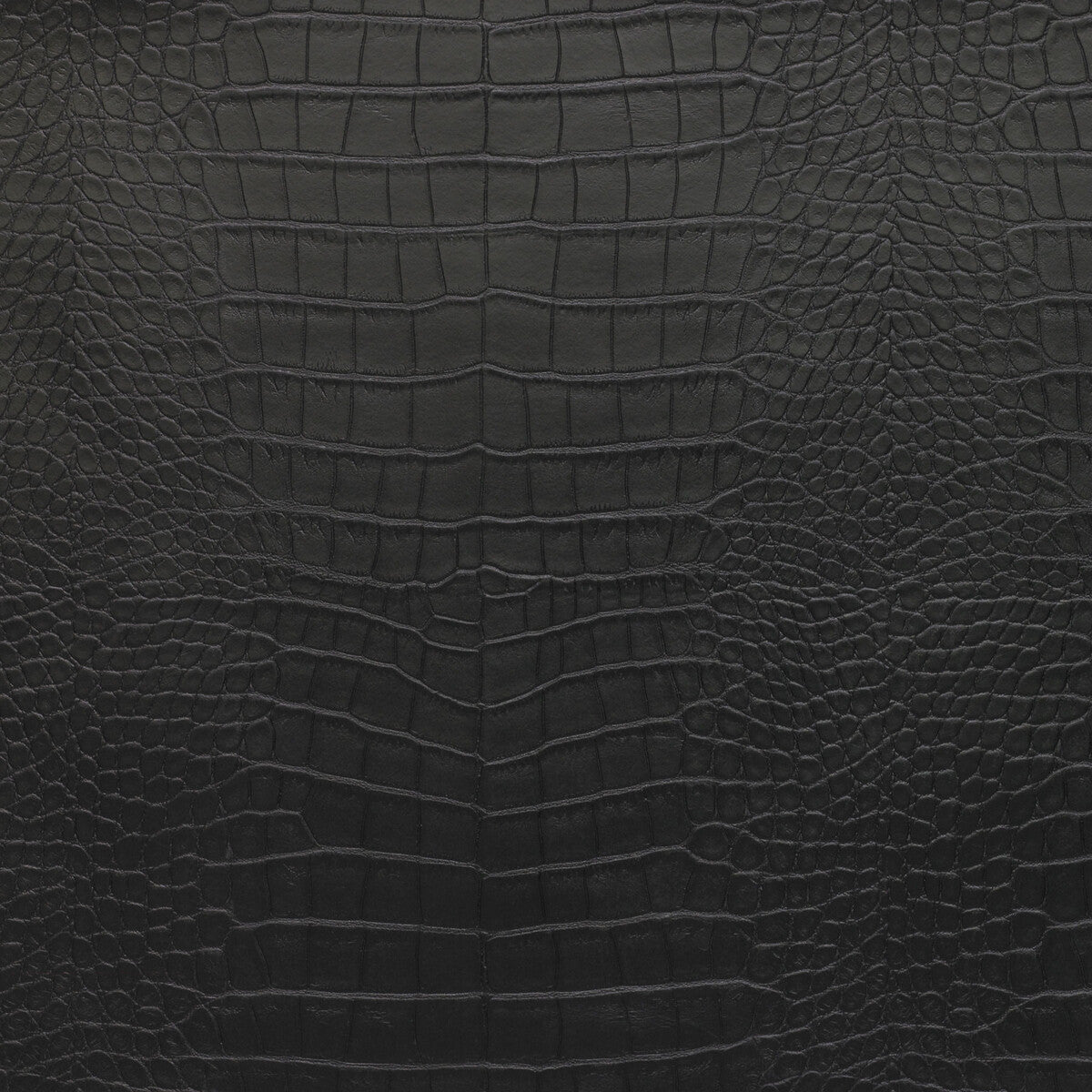ankora80-kravet-design-ankora-8-kravet-design