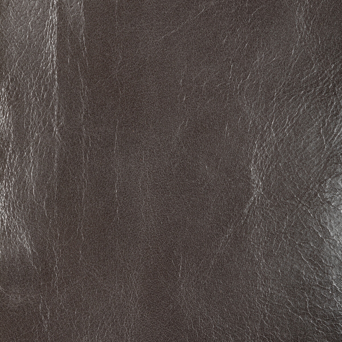 l-chanteyseal0-kravet-design-l-chantey-seal-kravet-design