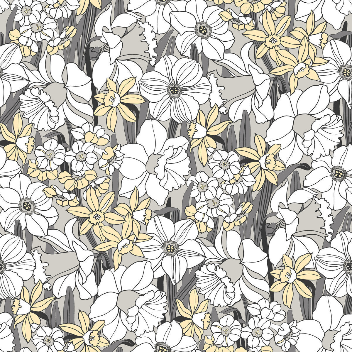 wdr1042wt0-juni-onyx-winfield-thybony - WINFIELD THYBONY Wallpaper