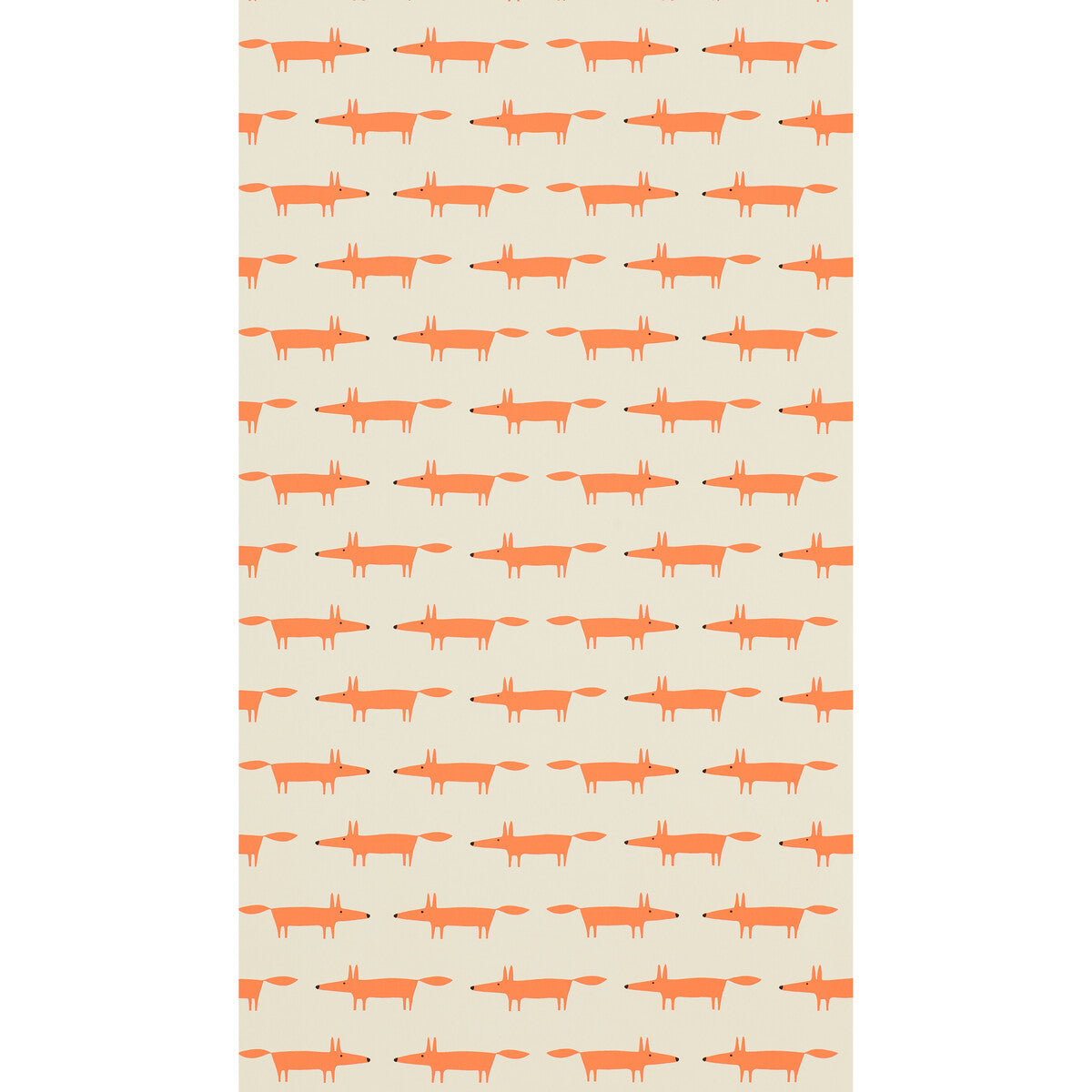 nswa110841scn0-little-fox-wp-ginger-scion