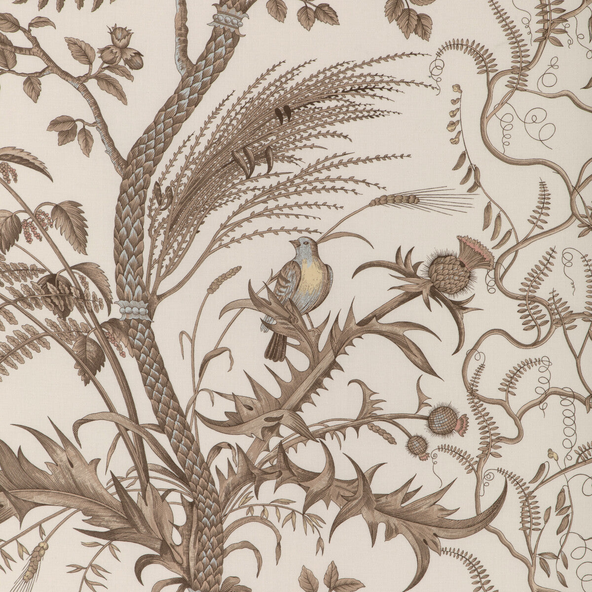 br-794310680-bird-and-thistle-cotton-print-beige-brunschwig-fils - BRUNSCHWIG & FILS Fabric