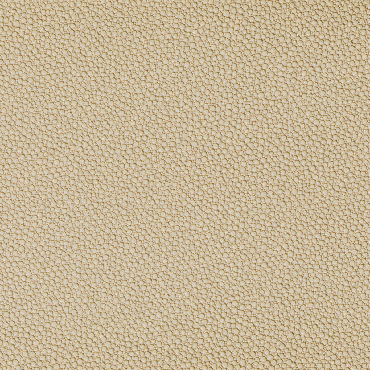 fetch16060-fetch-sandbar-kravet-contract