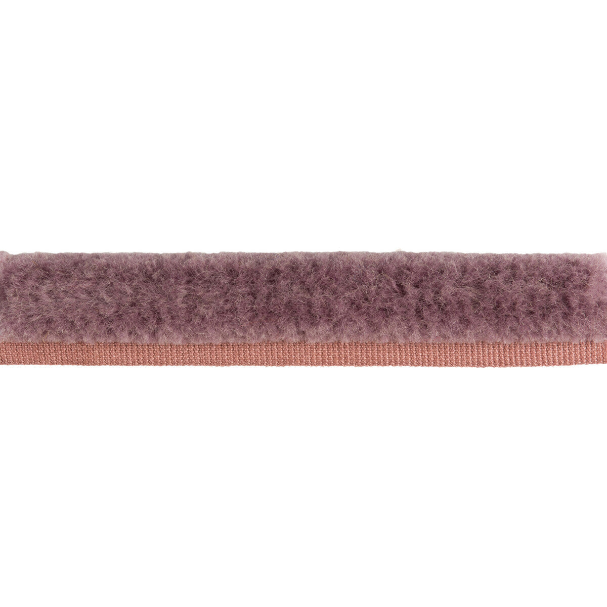 t8015508100-brosse-de-laine-amethyst-brunschwig-fils