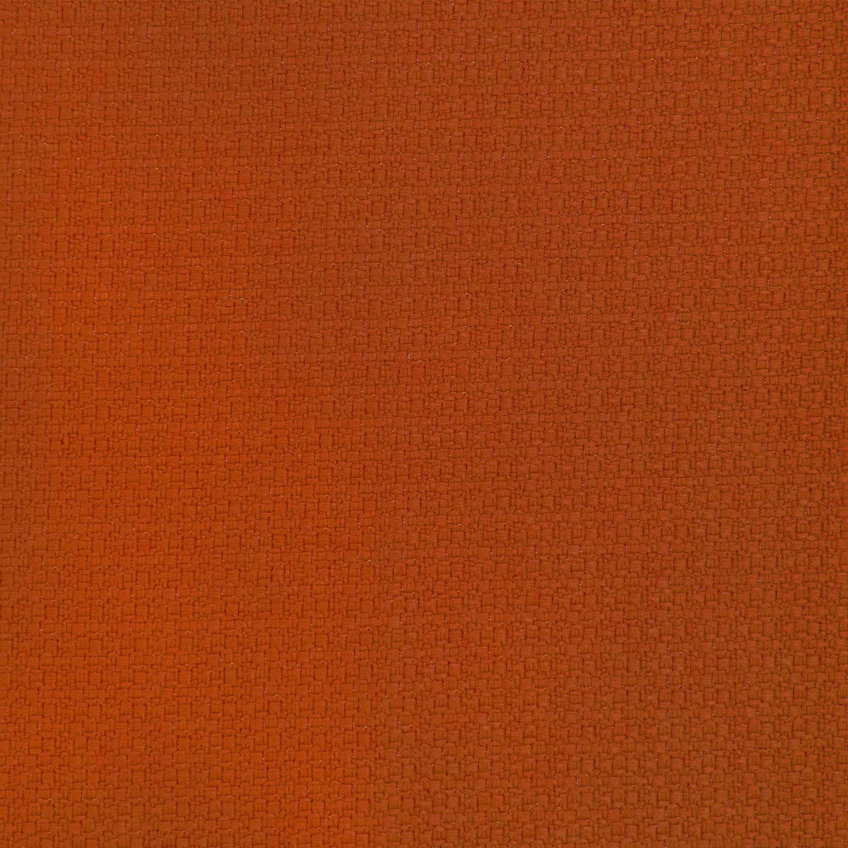 gdt56980110-lhasa-naranja-gaston-y-daniela