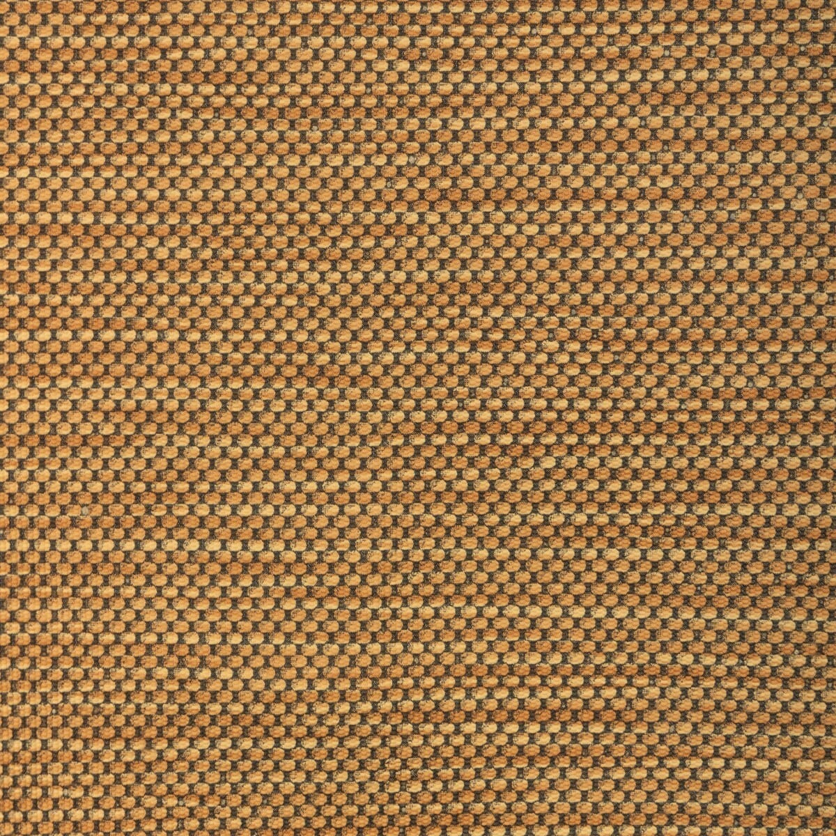 stitch440-stitch-honey-kravet-contract - KRAVET CONTRACT Fabric